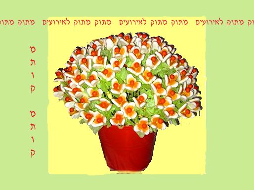 פרחים מתוקים 2